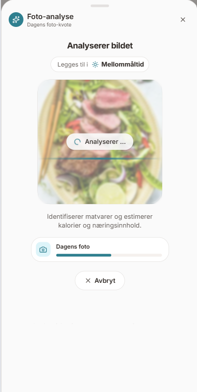 Diett.no-appen: foto-analyse av måltid